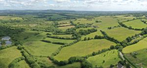 Photo 19- click for photo gallery